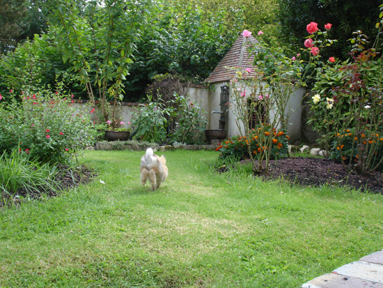 Aménager un parc paradisiaque pour son lapin - Site de miminesetpattounes !